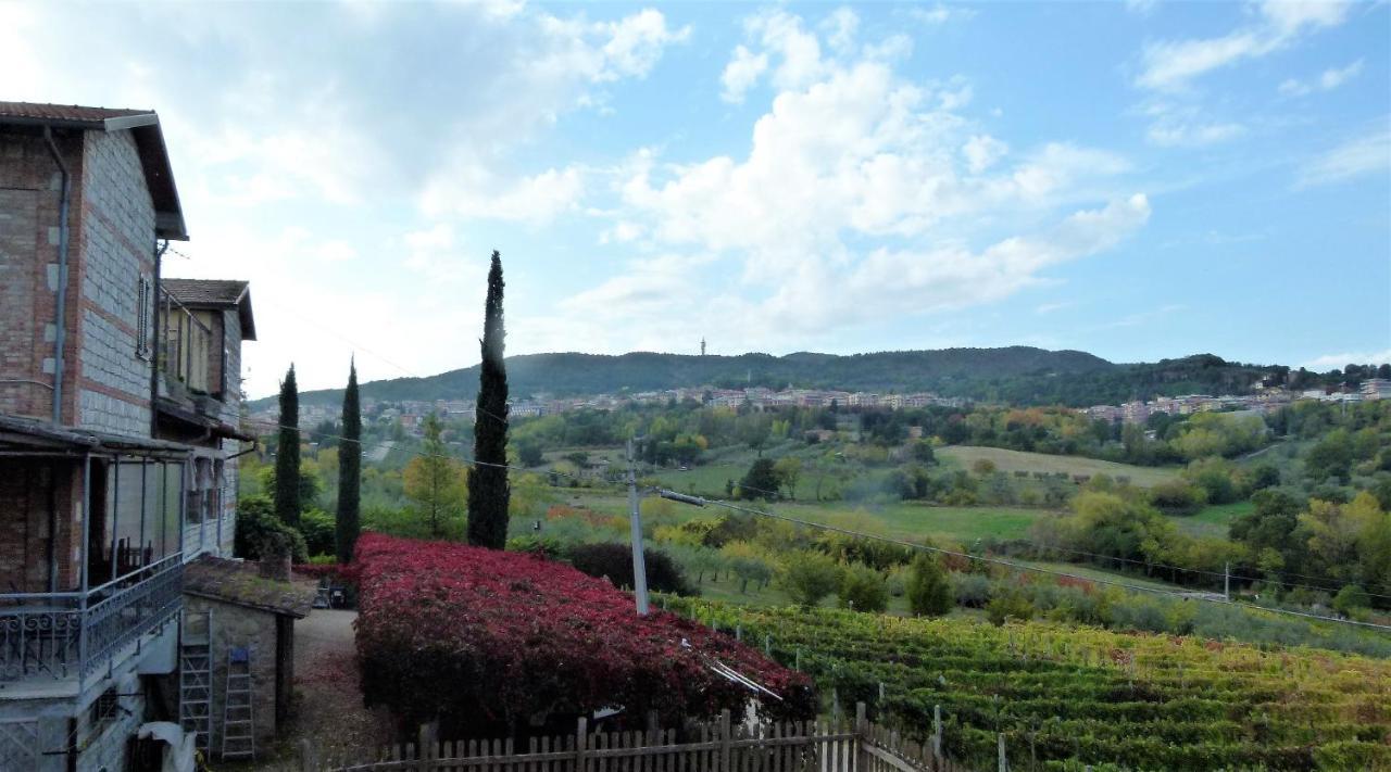 Agriturismo La Pietriccia 끼안챠노테르메 외부 사진