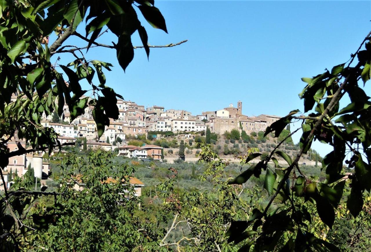 Agriturismo La Pietriccia 끼안챠노테르메 외부 사진
