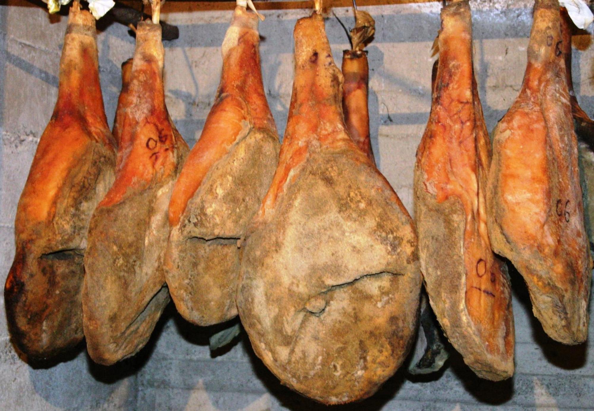 Agriturismo La Pietriccia 끼안챠노테르메 외부 사진