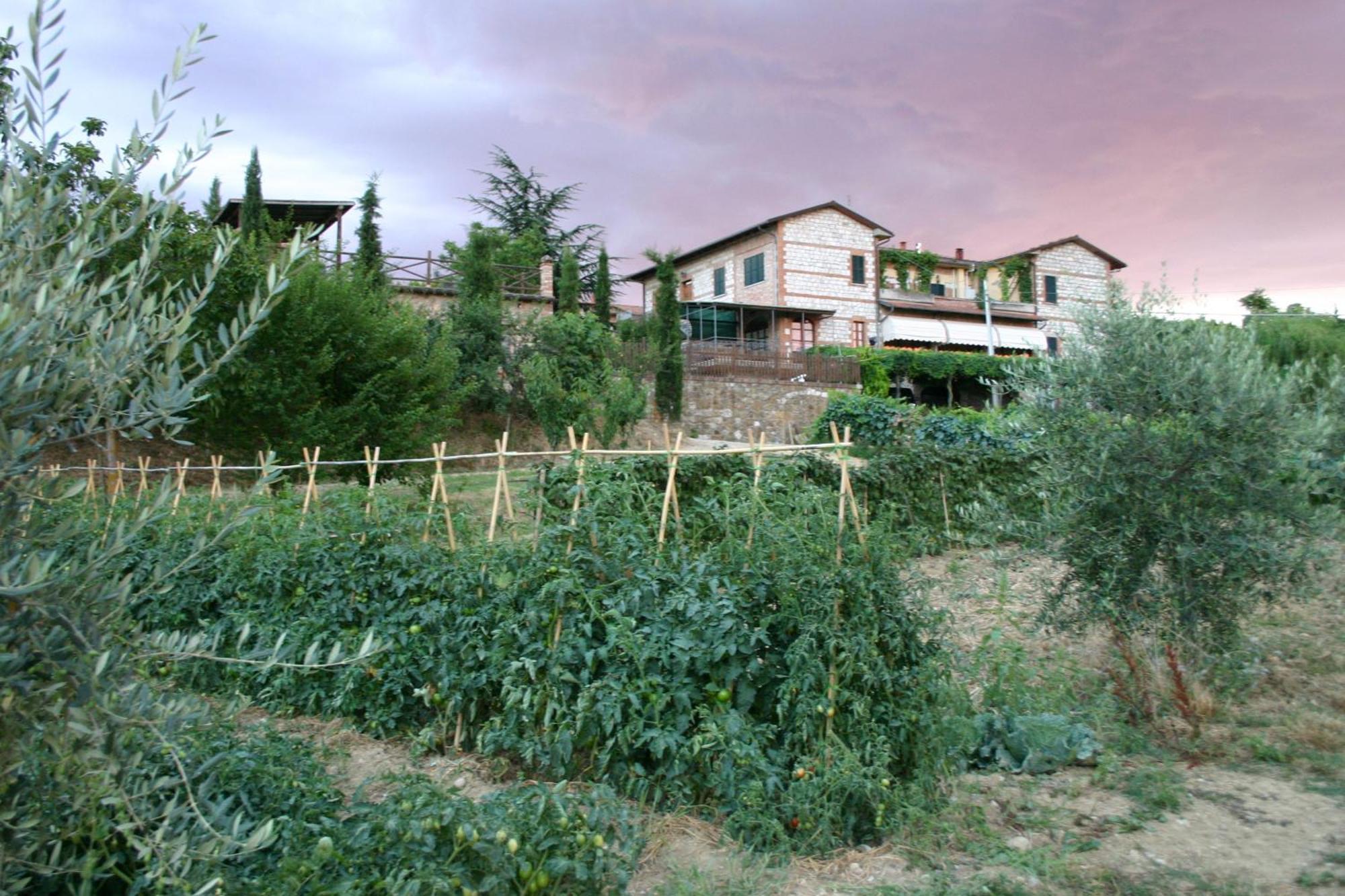 Agriturismo La Pietriccia 끼안챠노테르메 외부 사진