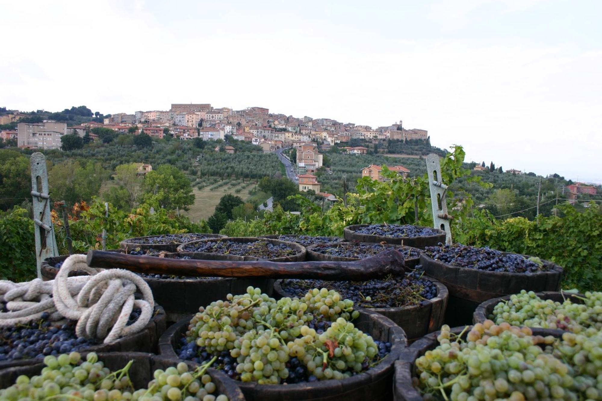 Agriturismo La Pietriccia 끼안챠노테르메 외부 사진