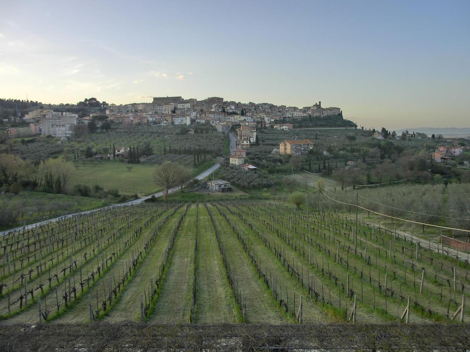 Agriturismo La Pietriccia 끼안챠노테르메 외부 사진