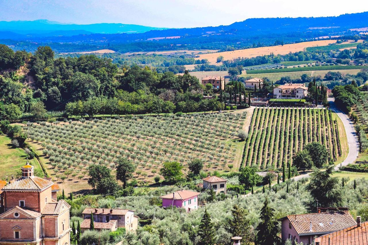 Agriturismo La Pietriccia 끼안챠노테르메 외부 사진